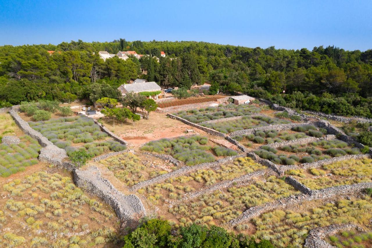 Villa Humac Hvar Poljica  Esterno foto