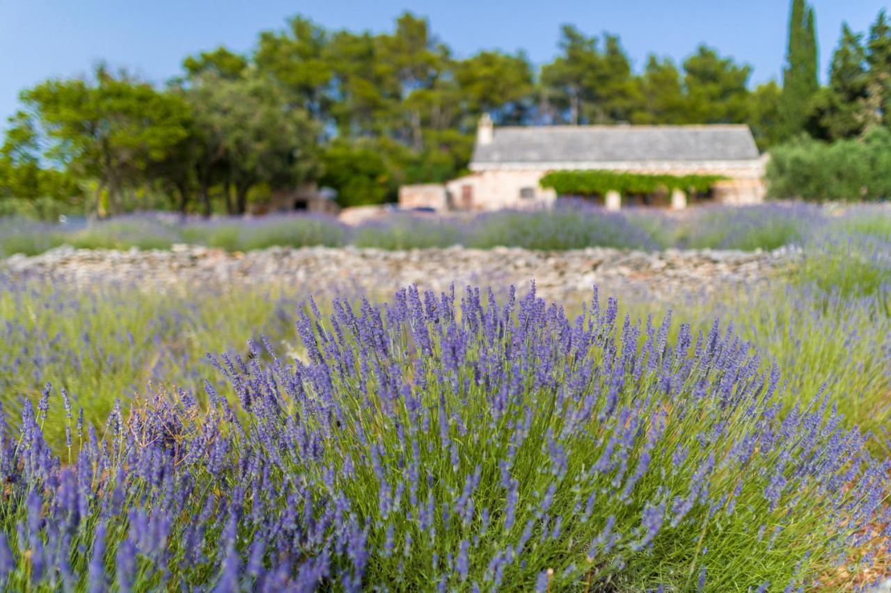 Villa Humac Hvar Poljica  Esterno foto