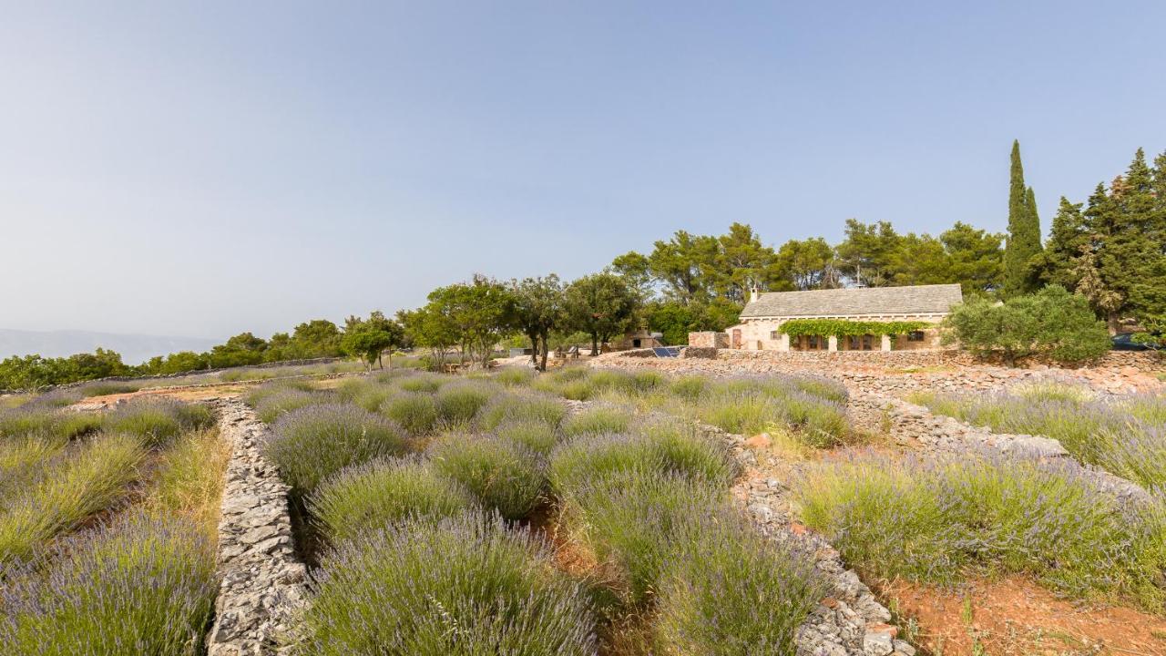 Villa Humac Hvar Poljica  Esterno foto