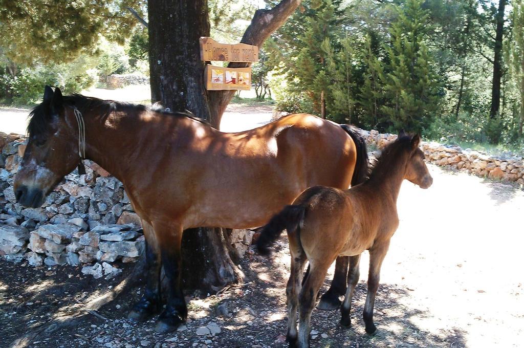 Villa Humac Hvar Poljica  Esterno foto